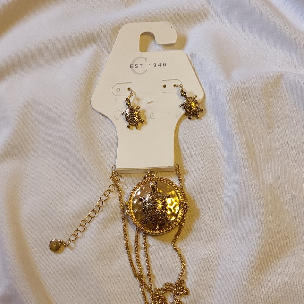 Turtle locket and earing set